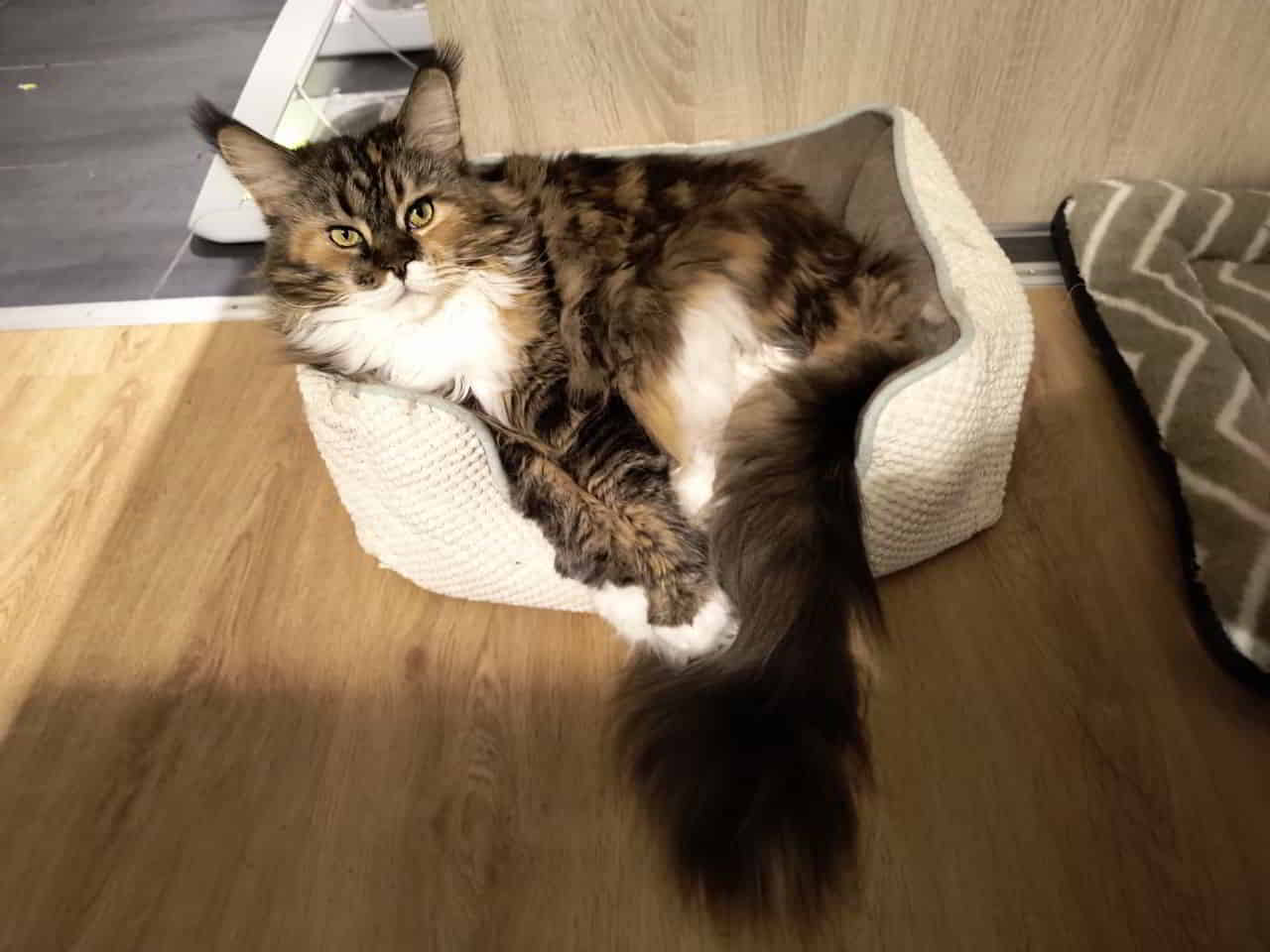 Wilma sagt Gut's Nächtle