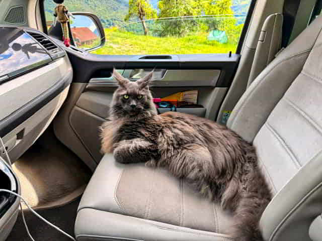 Reisekater Mischa Reisekater Mischa