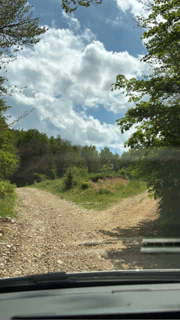image4 image4