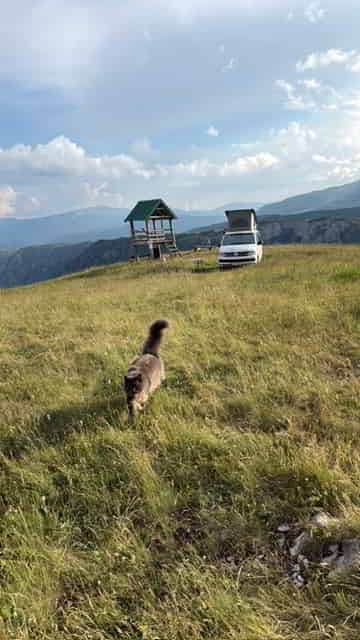image7 image7