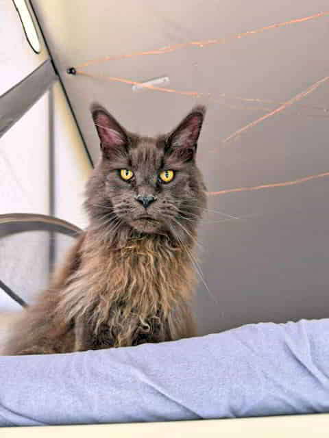 Reisekater Mischa Reisekater Mischa