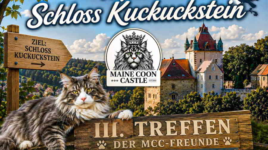 III. CastleLand Community Treffen 2026 auf Schloss Kuckuckstein III. CastleLand Community Treffen 2026