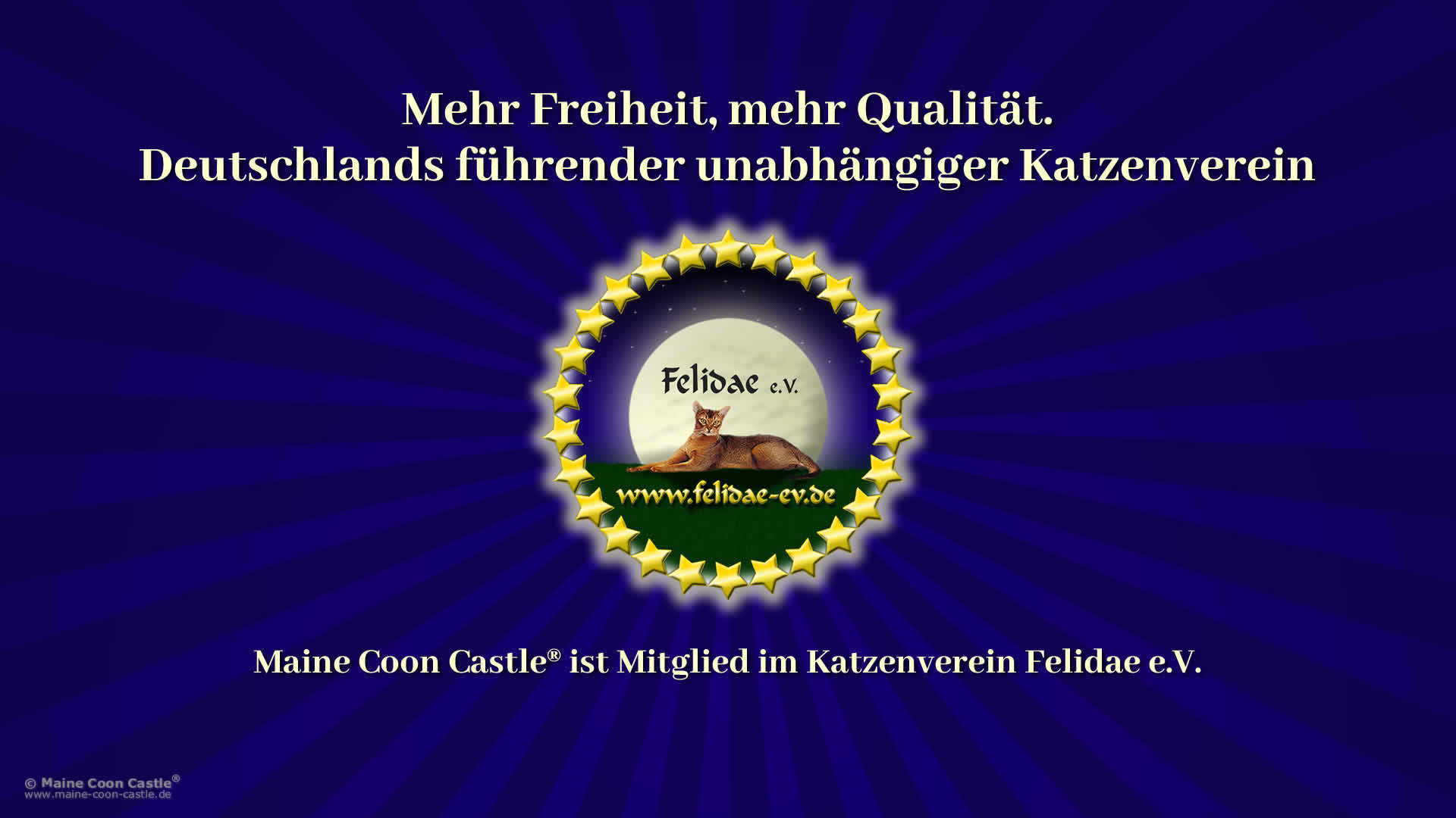 Katzenverein Felidae e.V. Freiheit trifft Exzellenz: Warum der Felidae e.V. Deutschlands führender unabhängiger Katzenverein ist