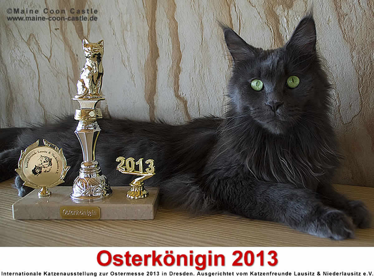 2013 wird Lea Osterkönigin