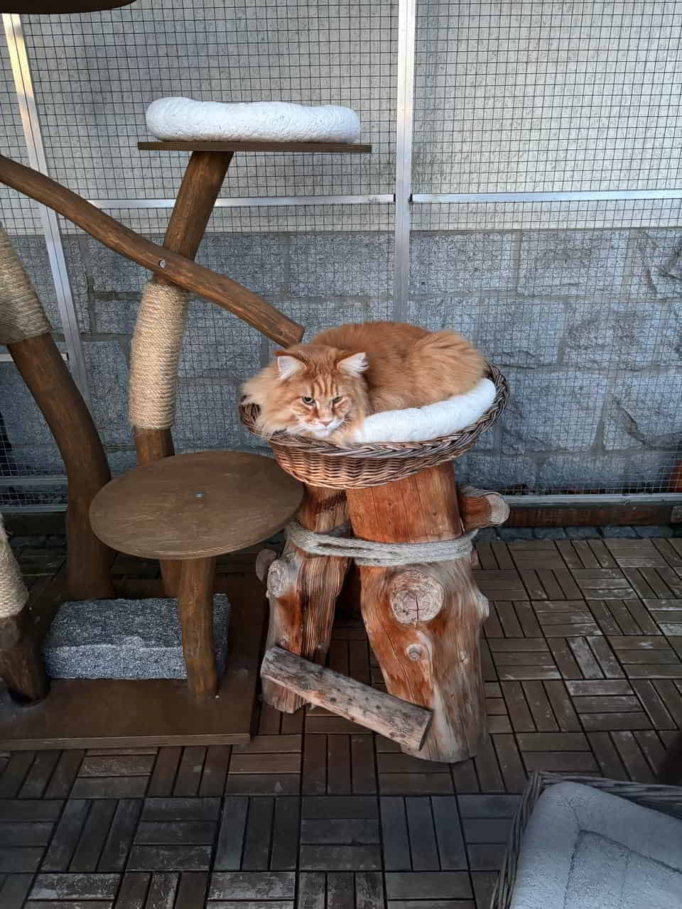 Adam ist bei 9 Grad auf Beobachtungsposten Adam ist bei 9 Grad auf Beobachtungsposten