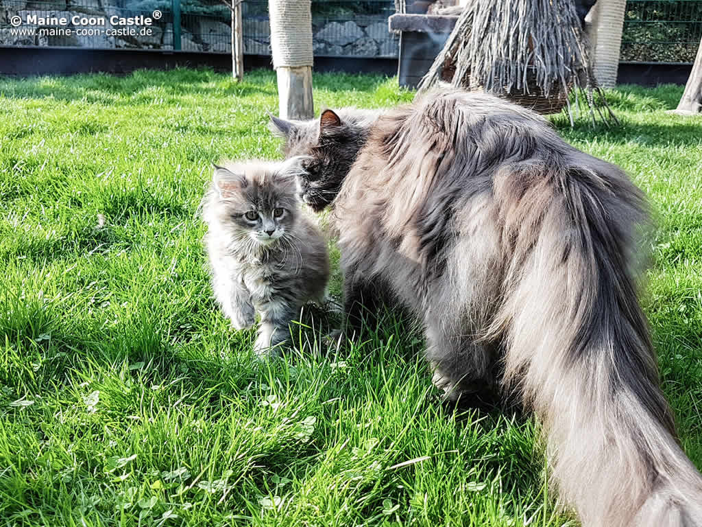 April 2018 Steffi und Lea April 2018 Steffi und Lea