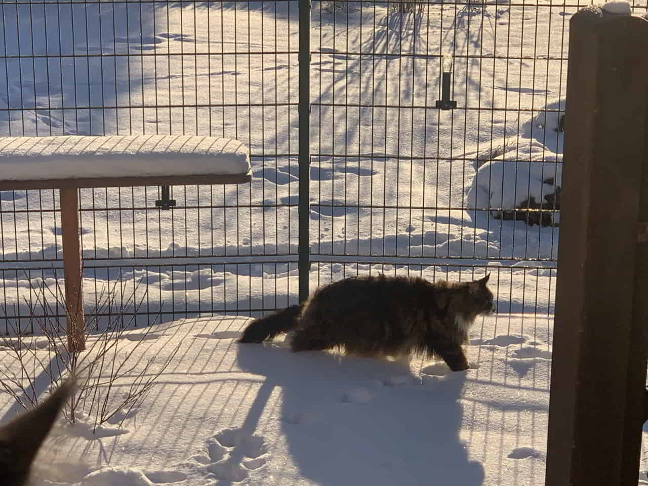 Dean trotzt der Kälte Dean trotzt der Kälte