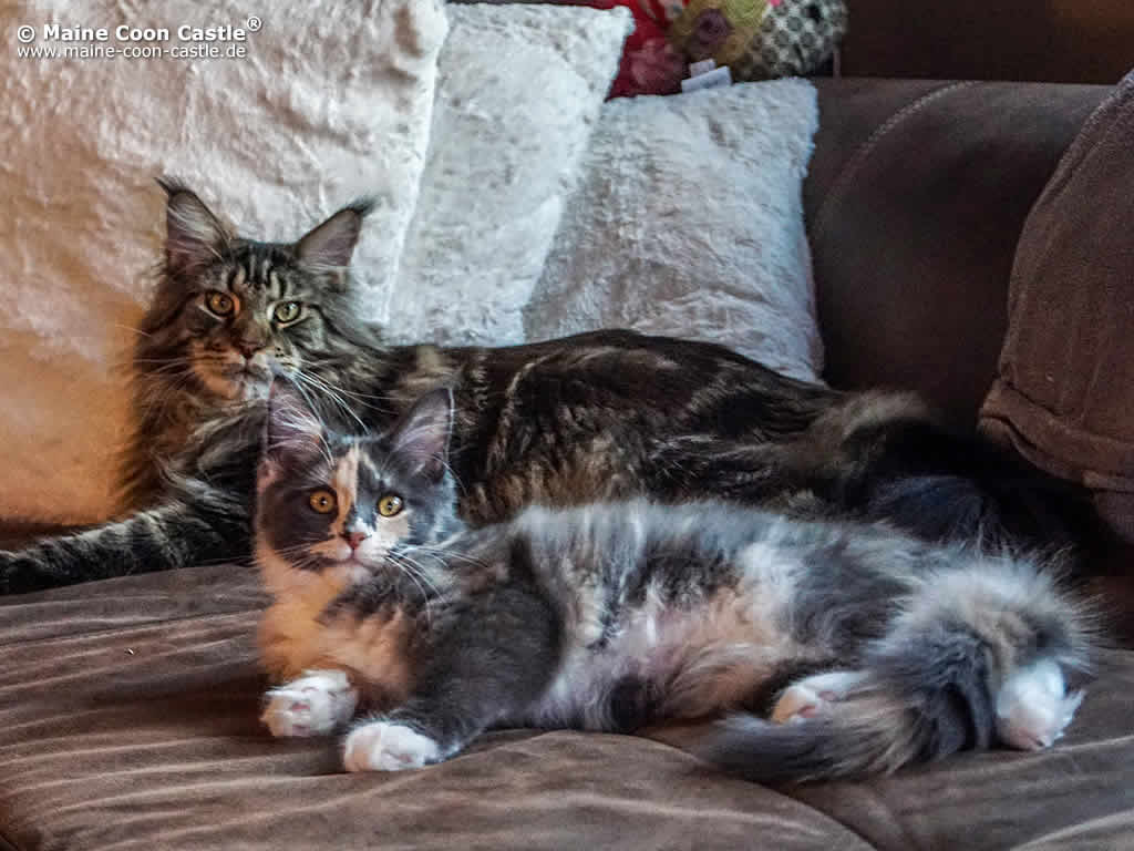 Heinz und Marry Heinz und Marry