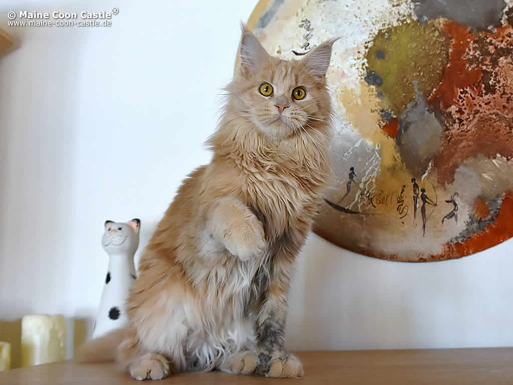 Jessy 1 Jahr alt Jessy 1 Jahr alt