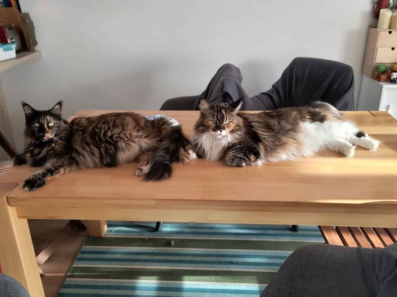 Jutta und Wilma. Tochter und Mutter Jutta und Wilma. Tochter und Mutter