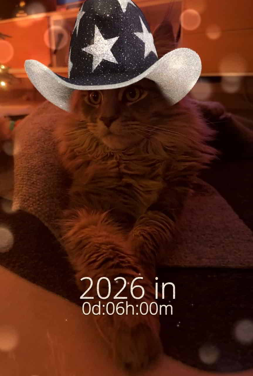 Kommt alle gut rüber und dir Volker positive Energie von Emmy, du schaffst das 💪 Kommt alle gut rüber und dir Volker positive Energie von Emmy, du schaffst das 💪