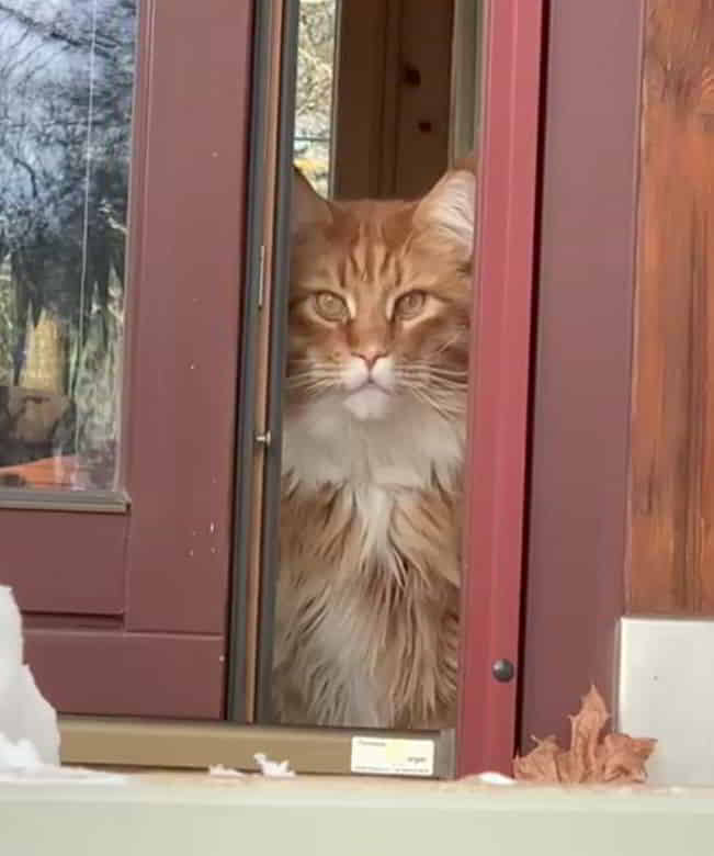 Minus 14 Grad. Die haben doch nen Knall Minus 14 Grad. Die haben doch nen Knall