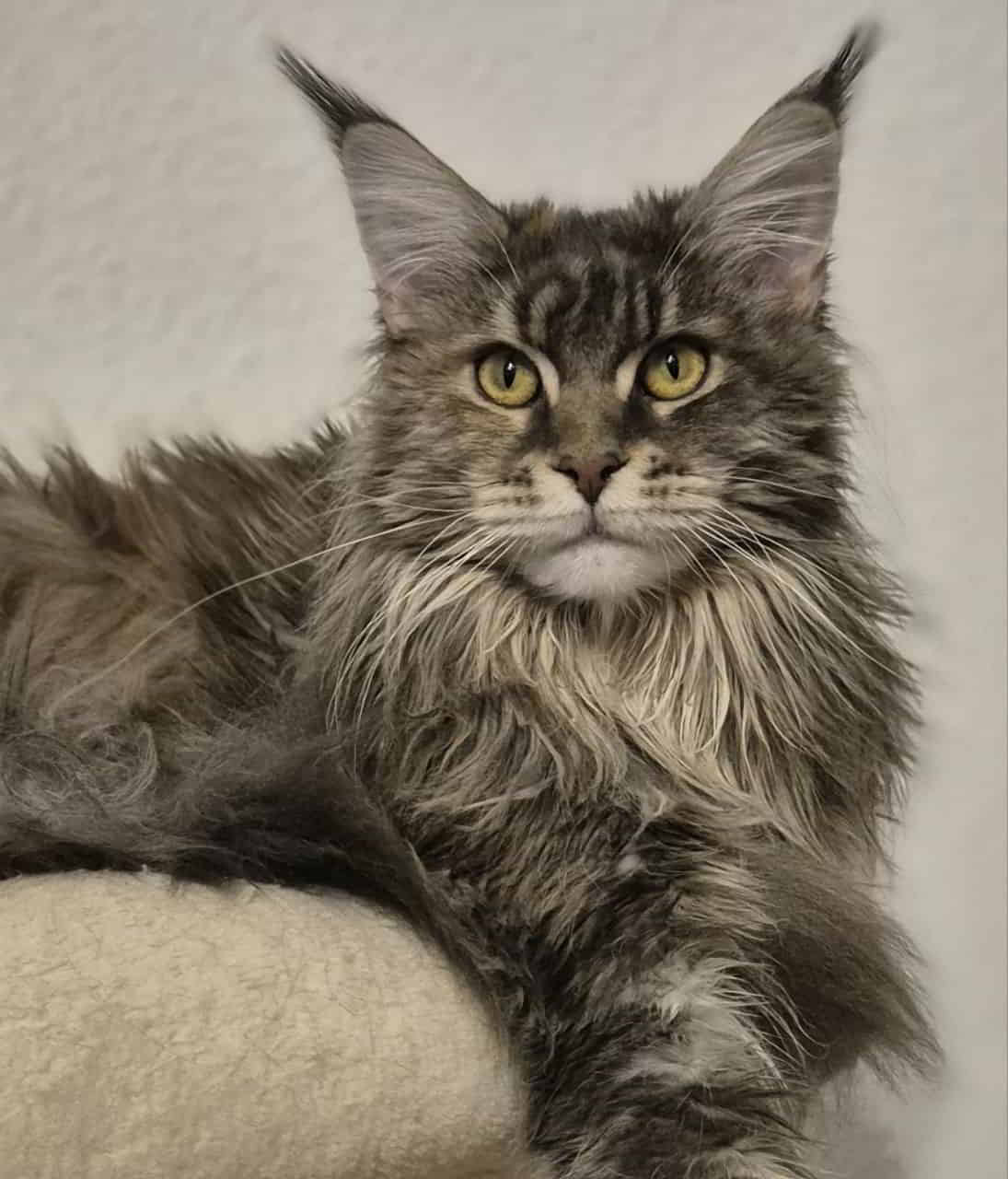 Bessie, Stand heute 6730 g❣️🥰