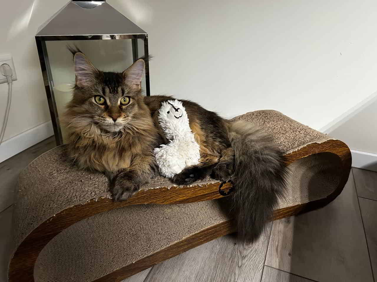 Carlo wünscht allen einen schönen Abend.