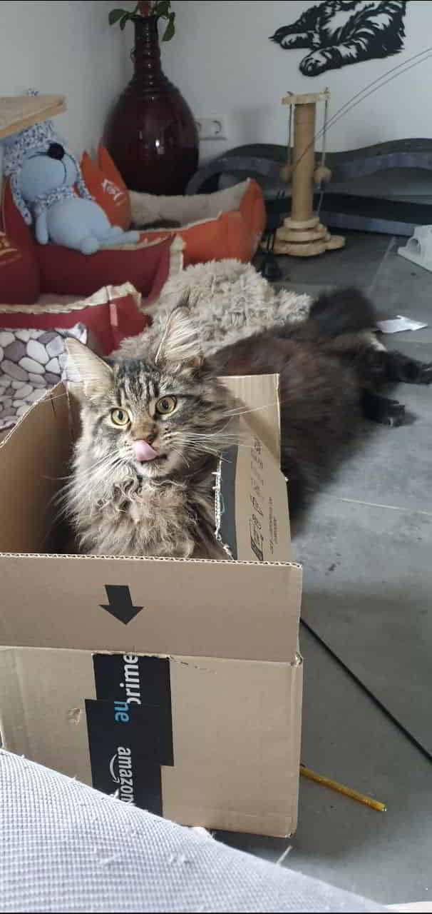 Easy wünscht euch auch allen noch einen schönen Sonntag