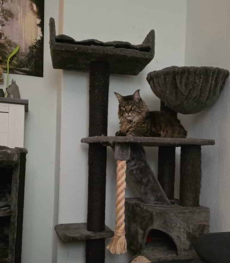 Ein paar liebe Grüße von Volker in die Runde