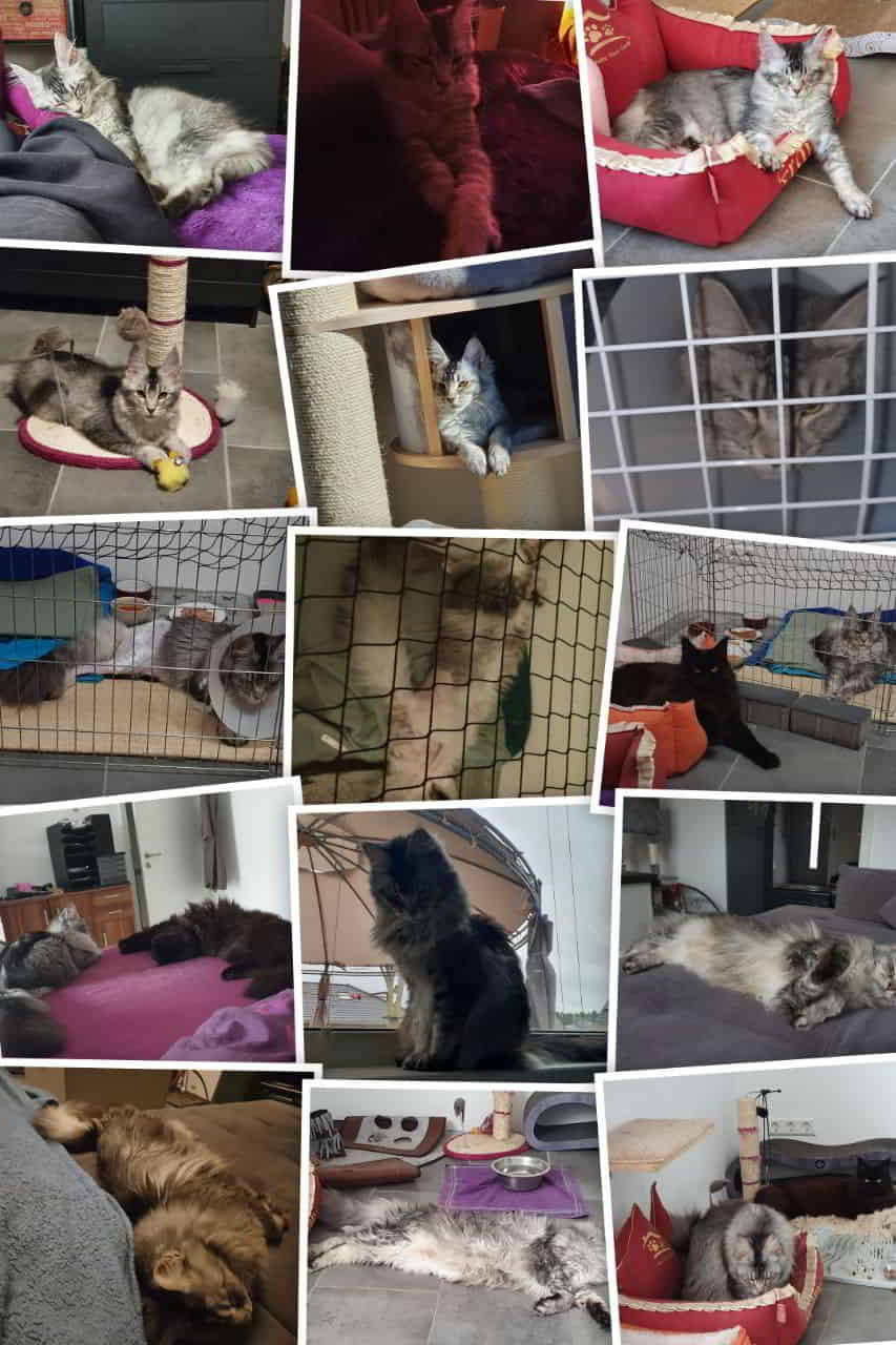 Franny die letzten Jahre