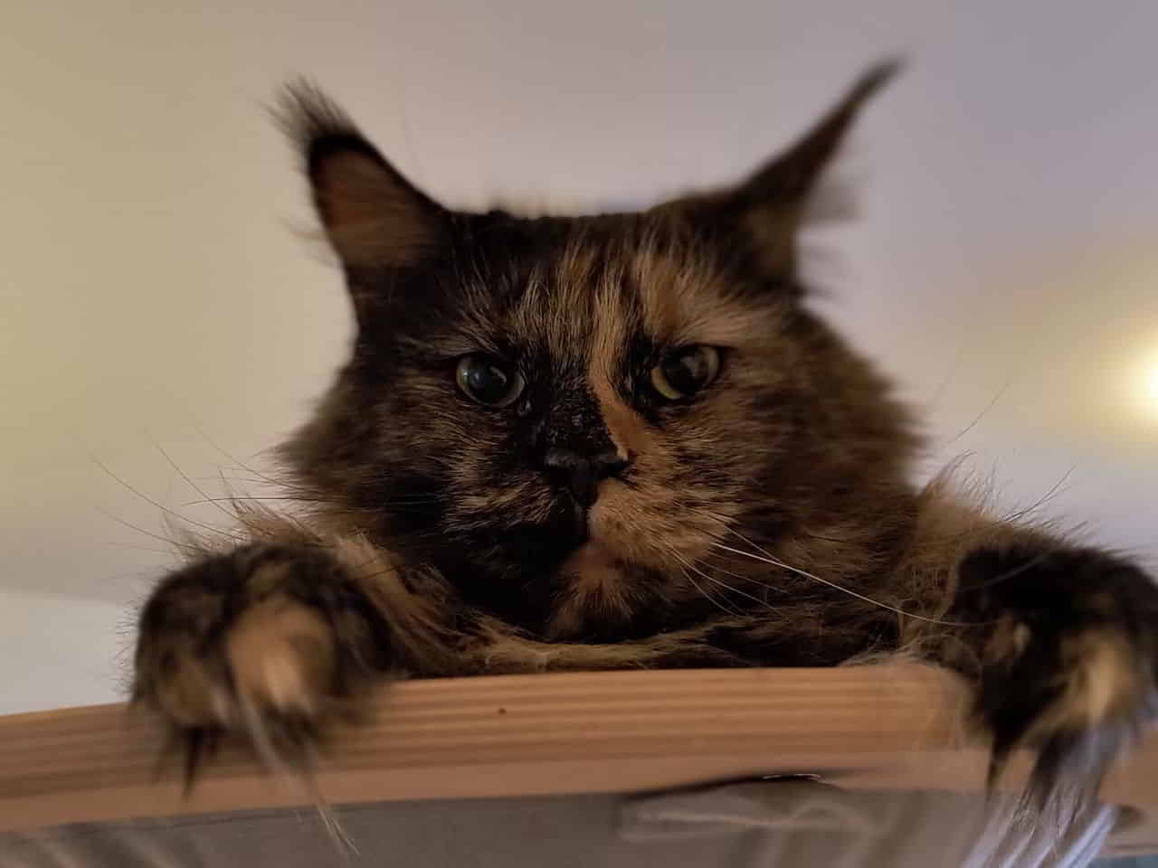 Happy Birthday Justus und Jutta!