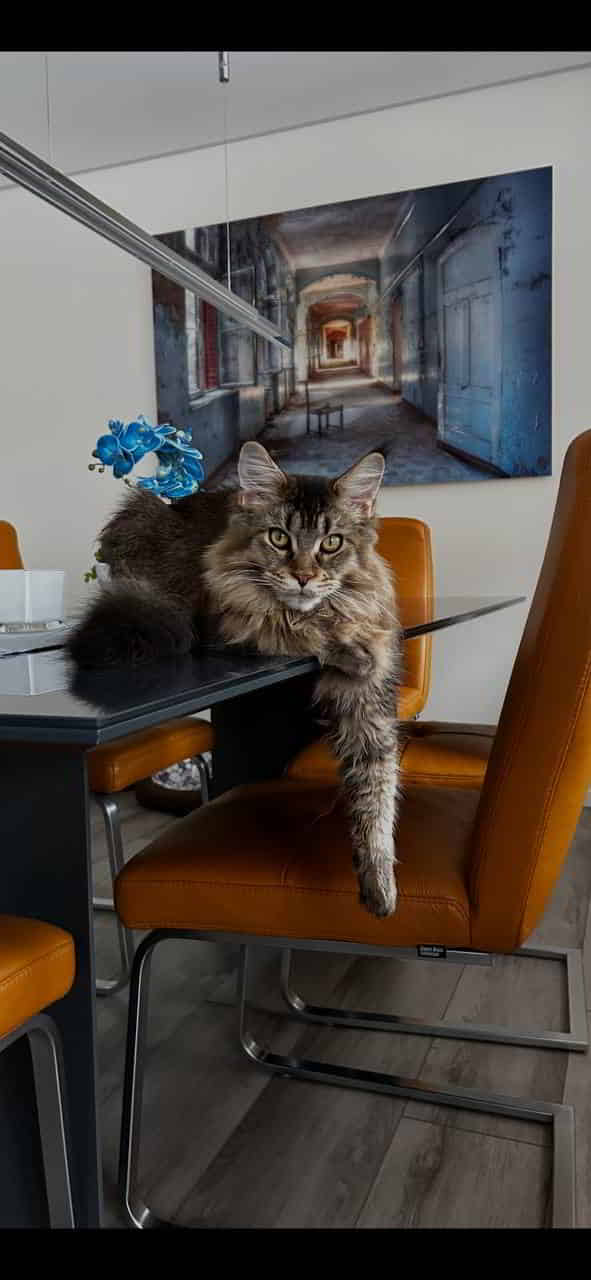 Heute darf Carlo alles