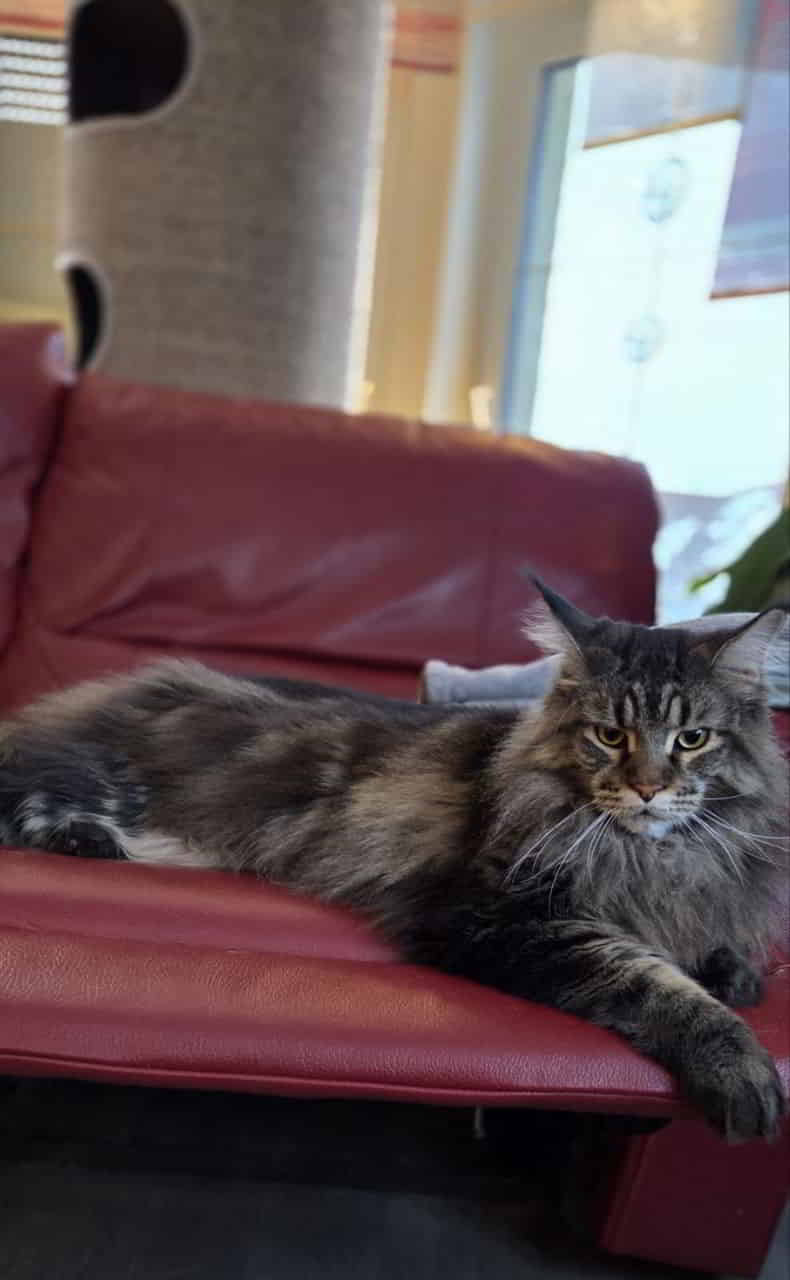 Peppo sagt Guten Morgen...