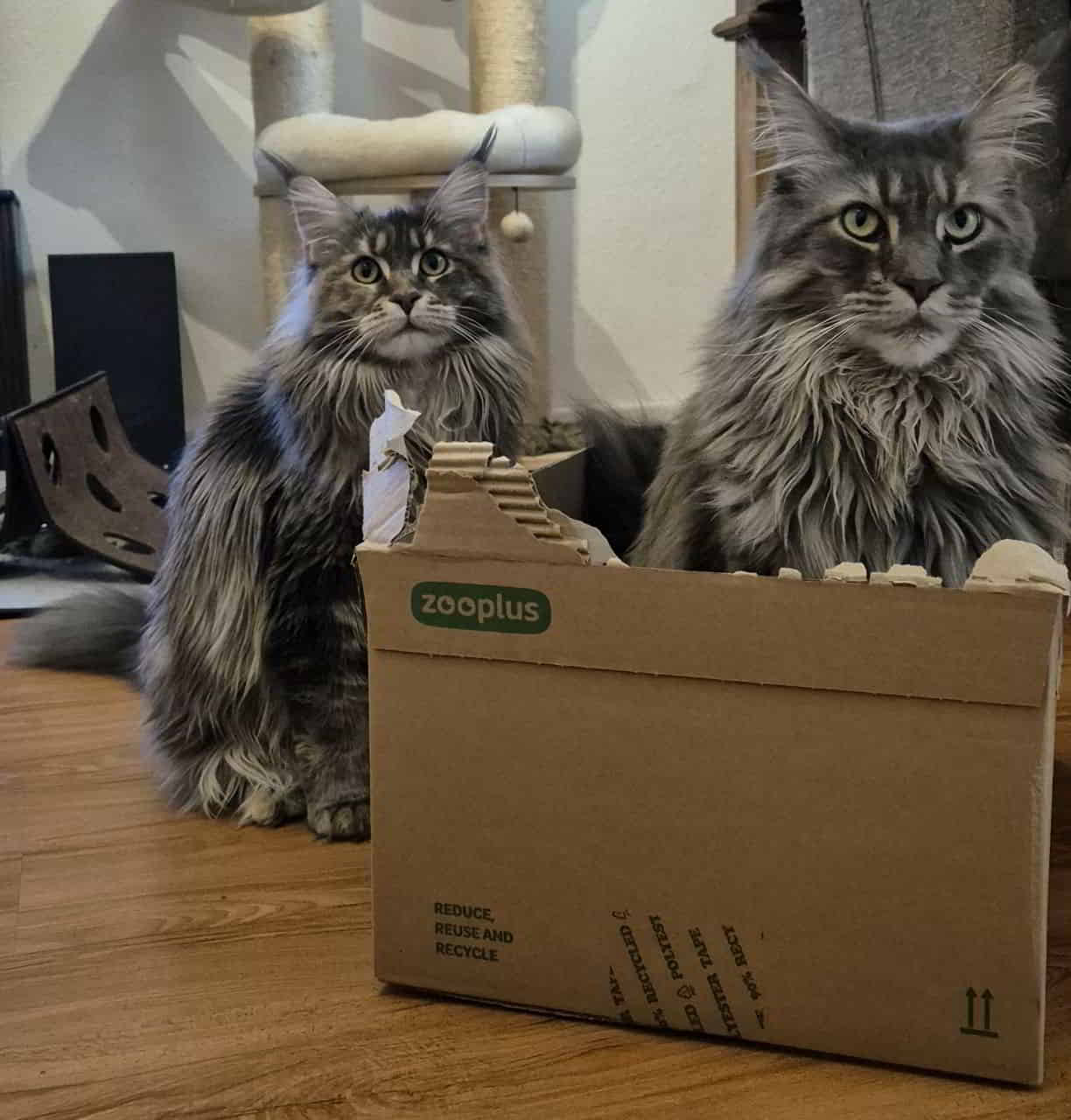 Pünklich zum Wochenende sind endlich die Leckerlies da! 🙈