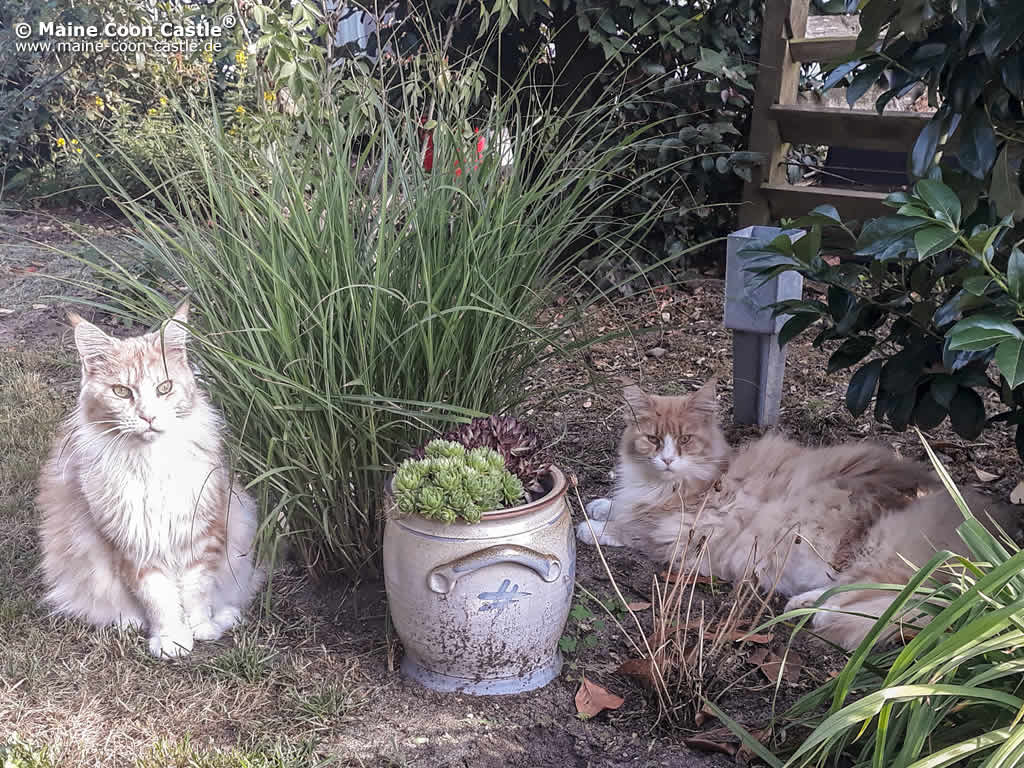 Rosi mit Tochter Bonny