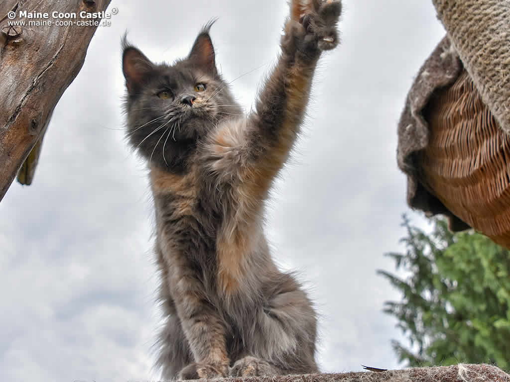 2018 07 07 Nora 2018 07 07 Nora