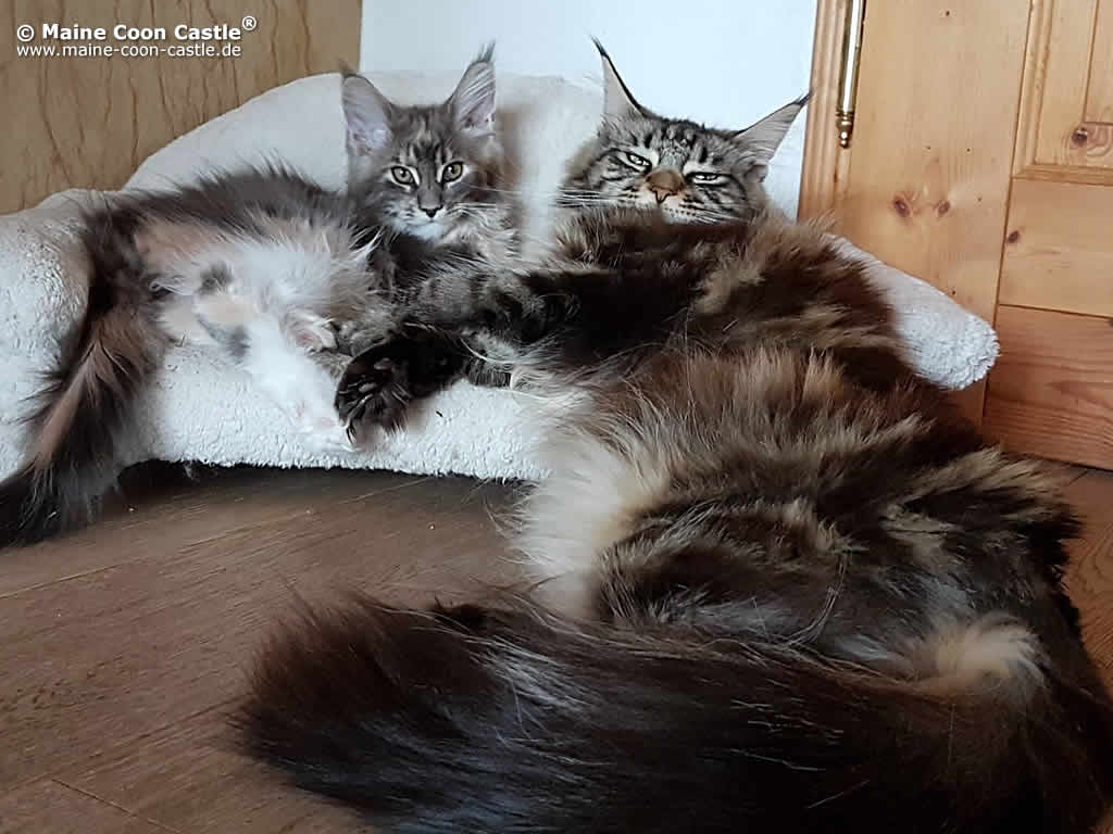 2018 Daireen und Zarina 2018 Daireen und Zarina