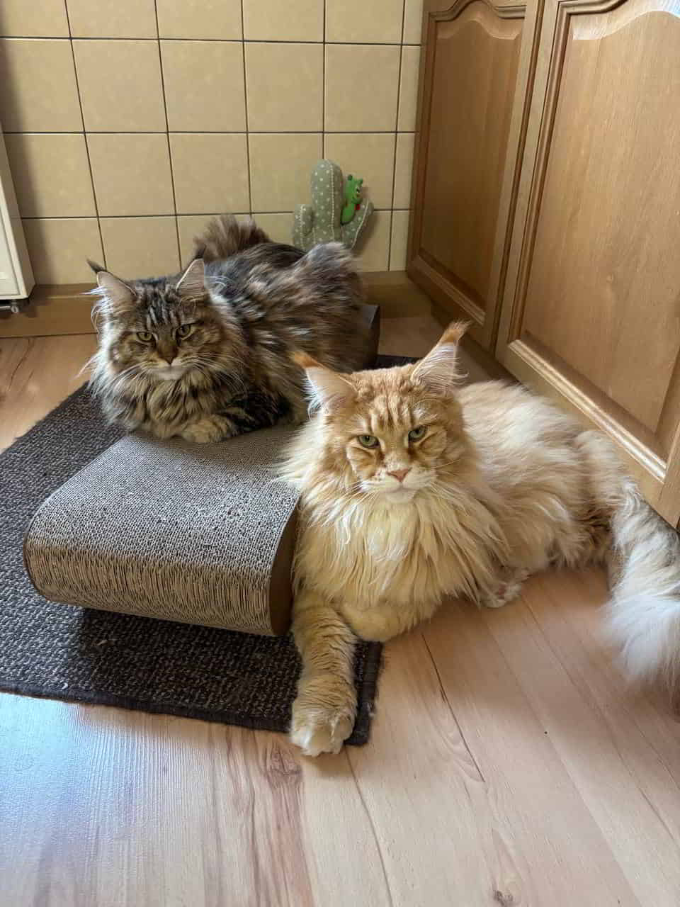 Adam und Dakota Adam und Dakota