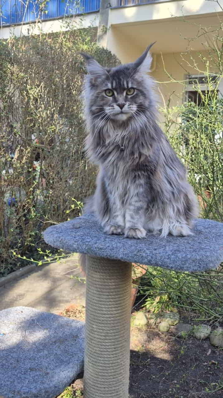 Alles MEINS!! 🙈😍 Alles MEINS!! 🙈😍