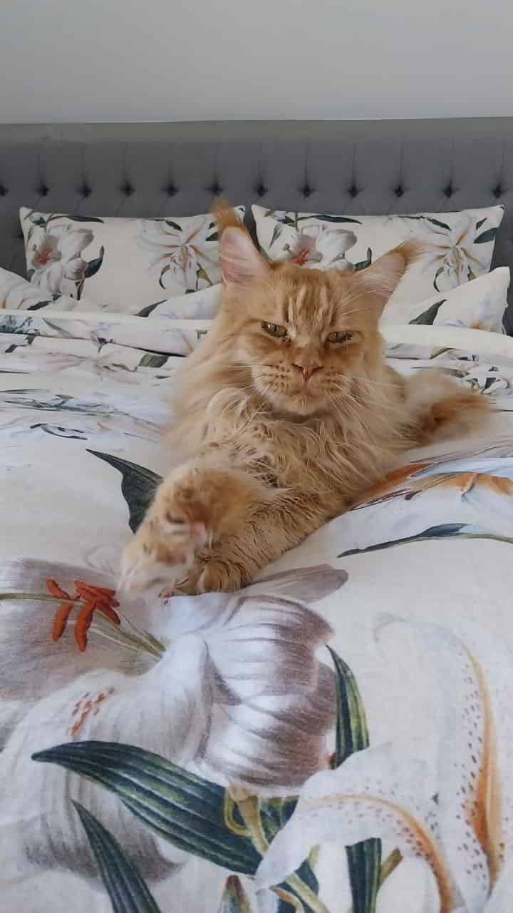 Dave. I’m sexy and I know it 🤔 Dave. I'm sexy and I know it 🤔