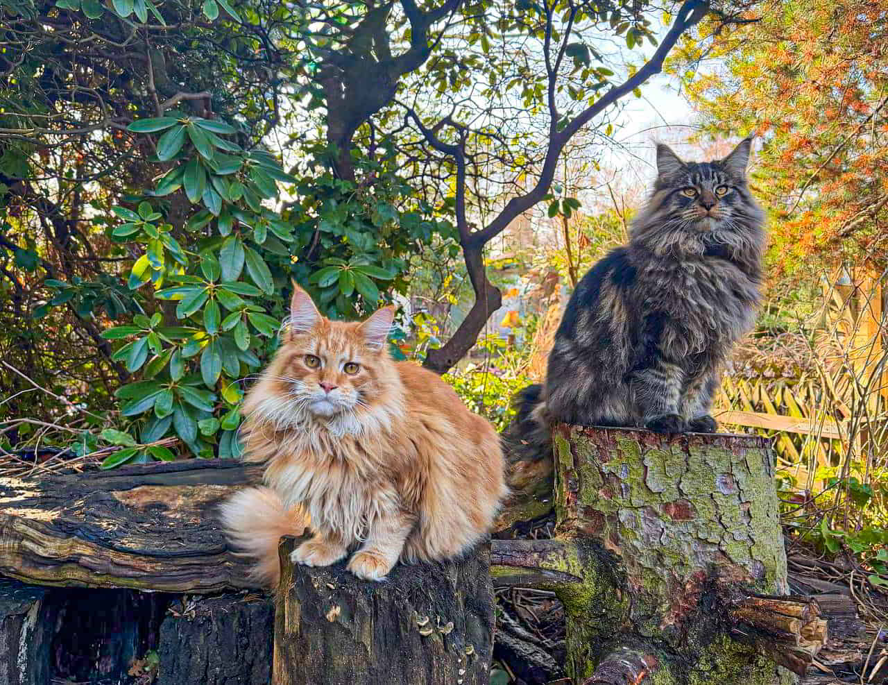 Dean & Enzo Dean & Enzo