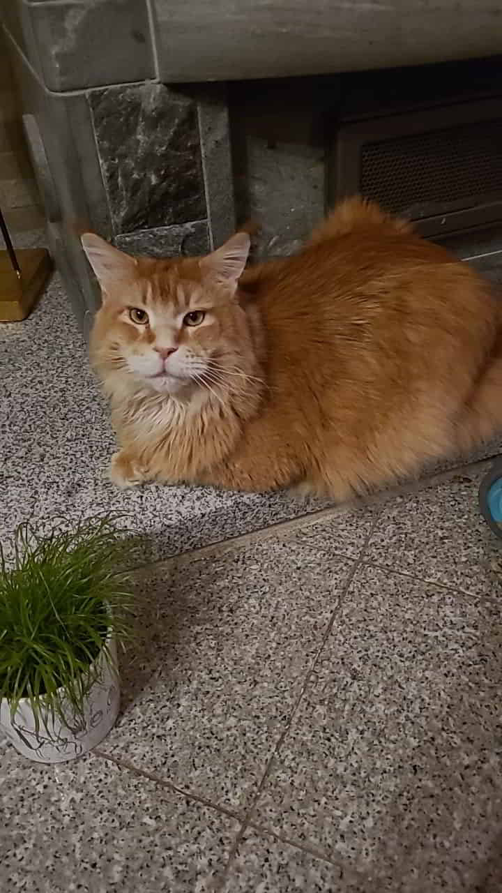 Der schnieke Anton sagt Hallo in die Runde 😘 Der schnieke Anton sagt Hallo in die Runde 😘