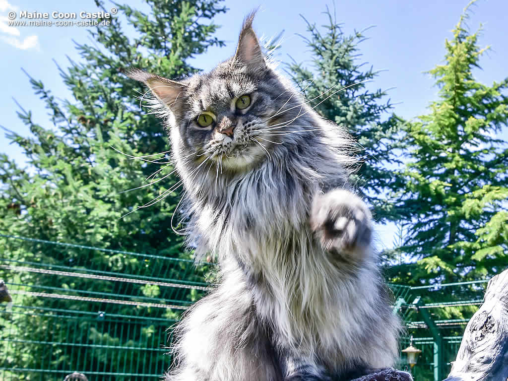 Ebby 5 Jahre alt Ebby 5 Jahre alt