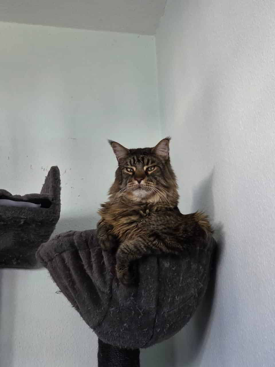 Einen schönen Abend wünscht Volker Einen schönen Abend wünscht Volker