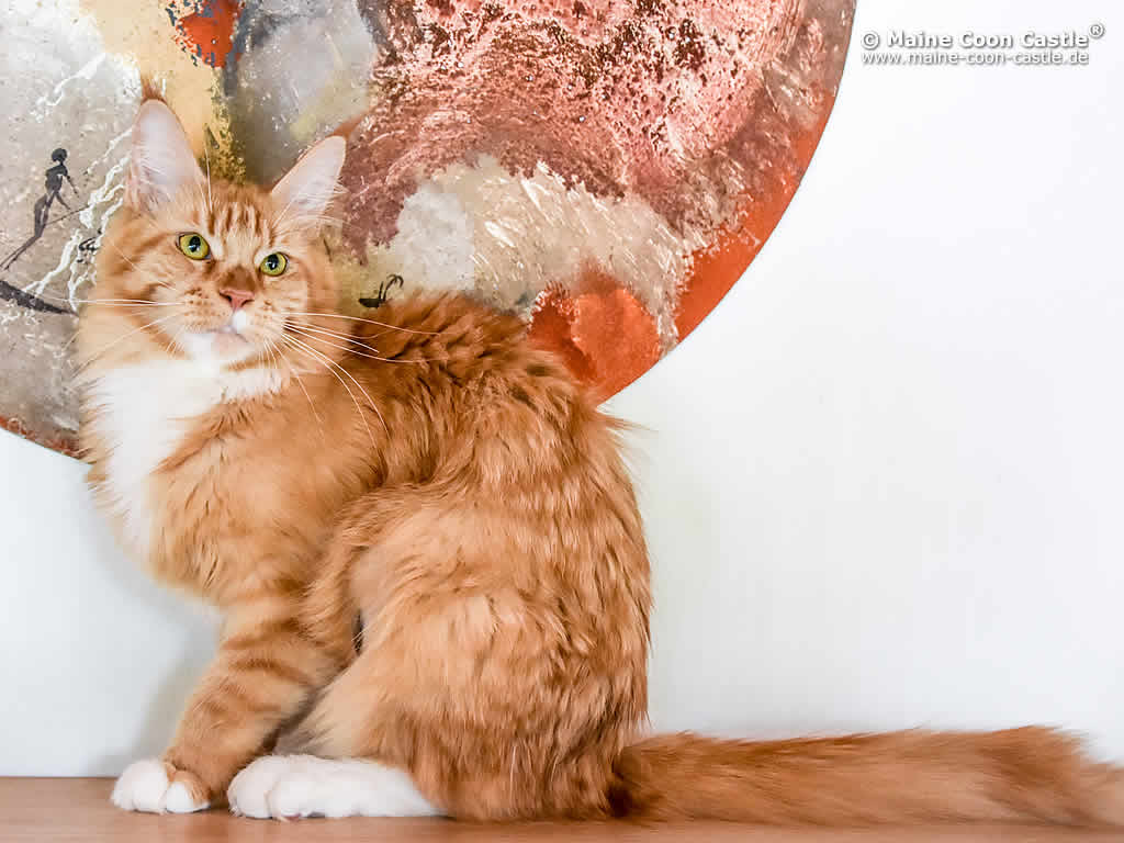 Emely 1 Jahr und 9 Monate alt Emely 1 Jahr und 9 Monate alt