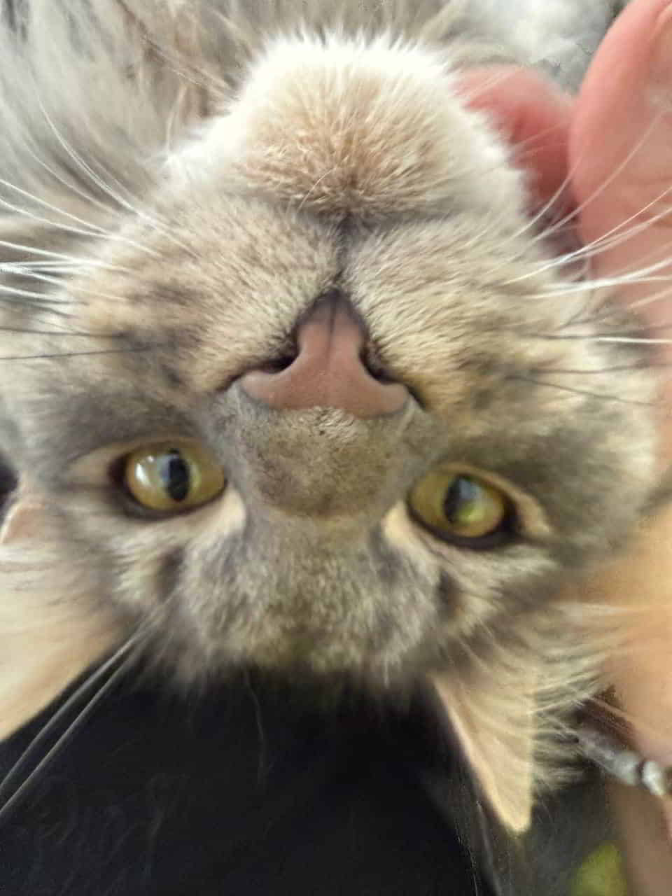 Emmy wünscht allen einen tollen Start ins Wochenende Emmy wünscht allen einen tollen Start ins Wochenende