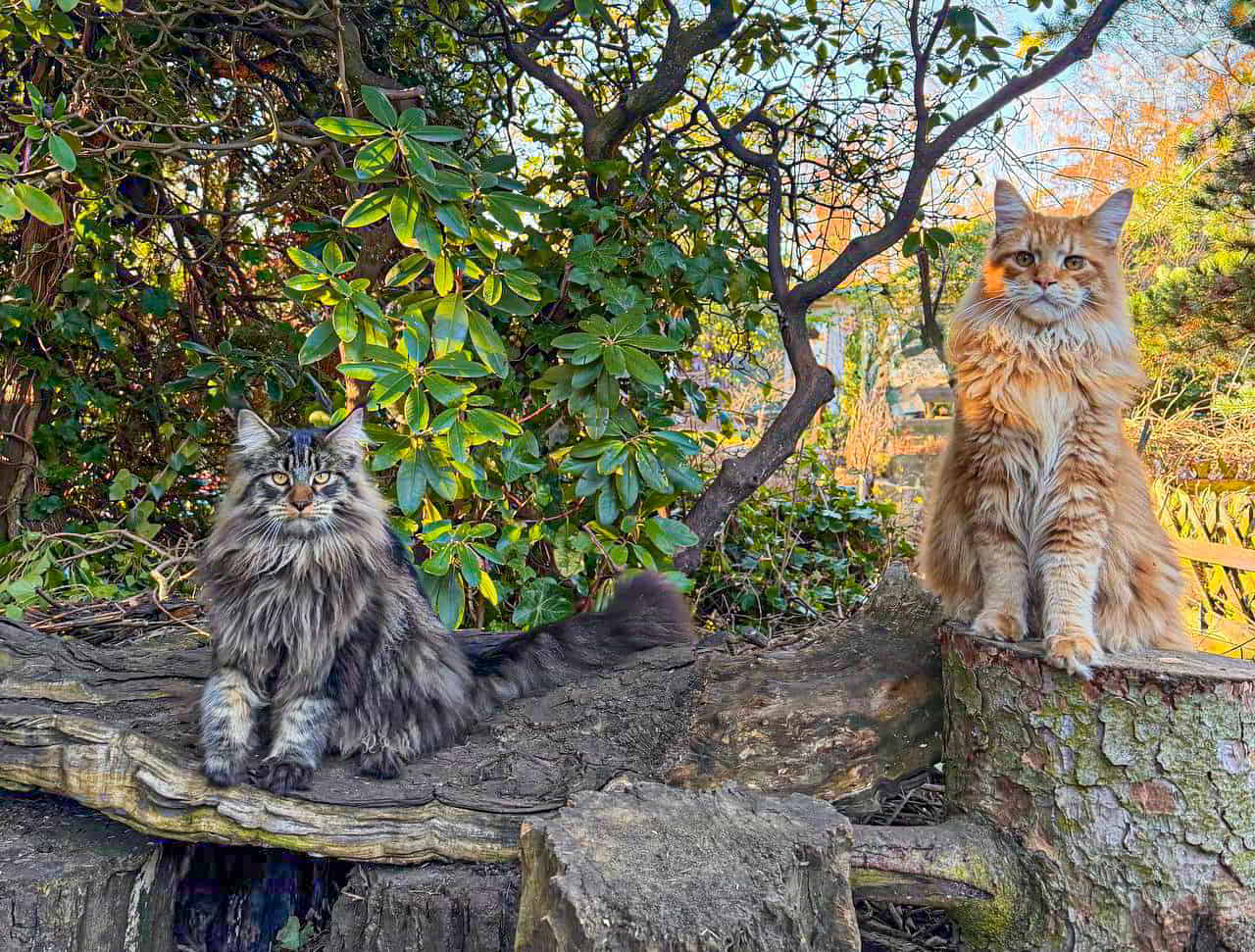 Enzo und Dean Enzo und Dean