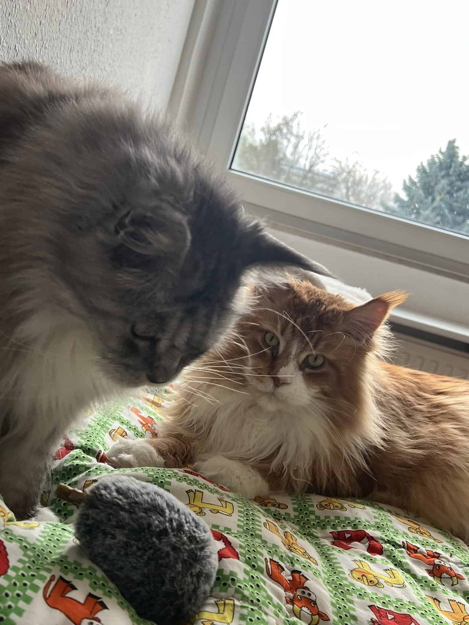 Fanny und Wotan Fanny und Wotan