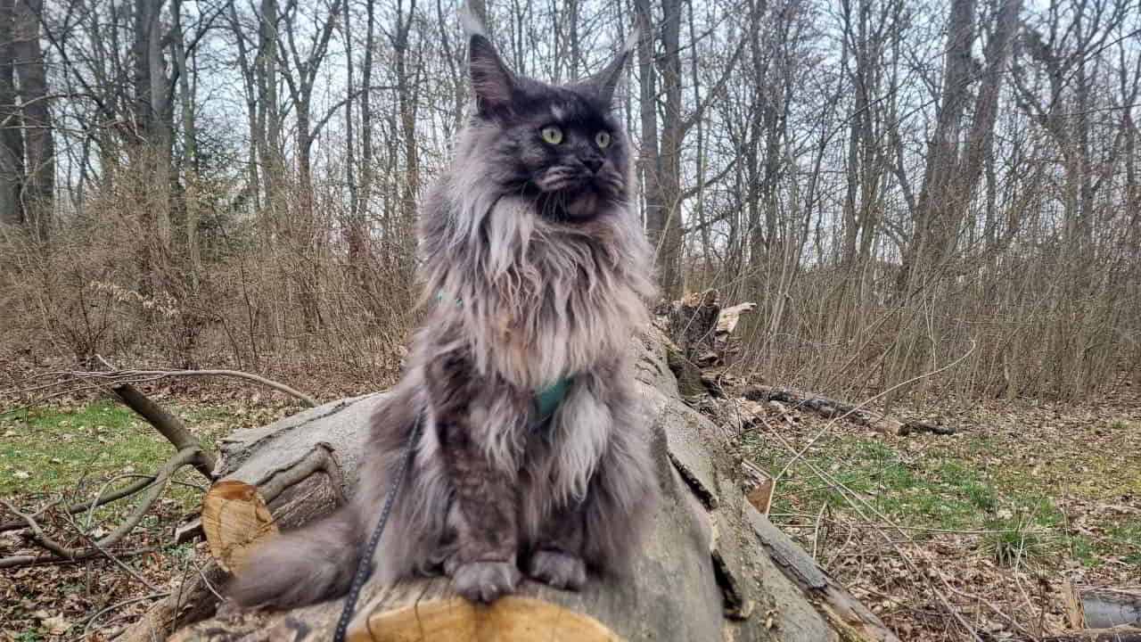 Franka im Park Franka im Park