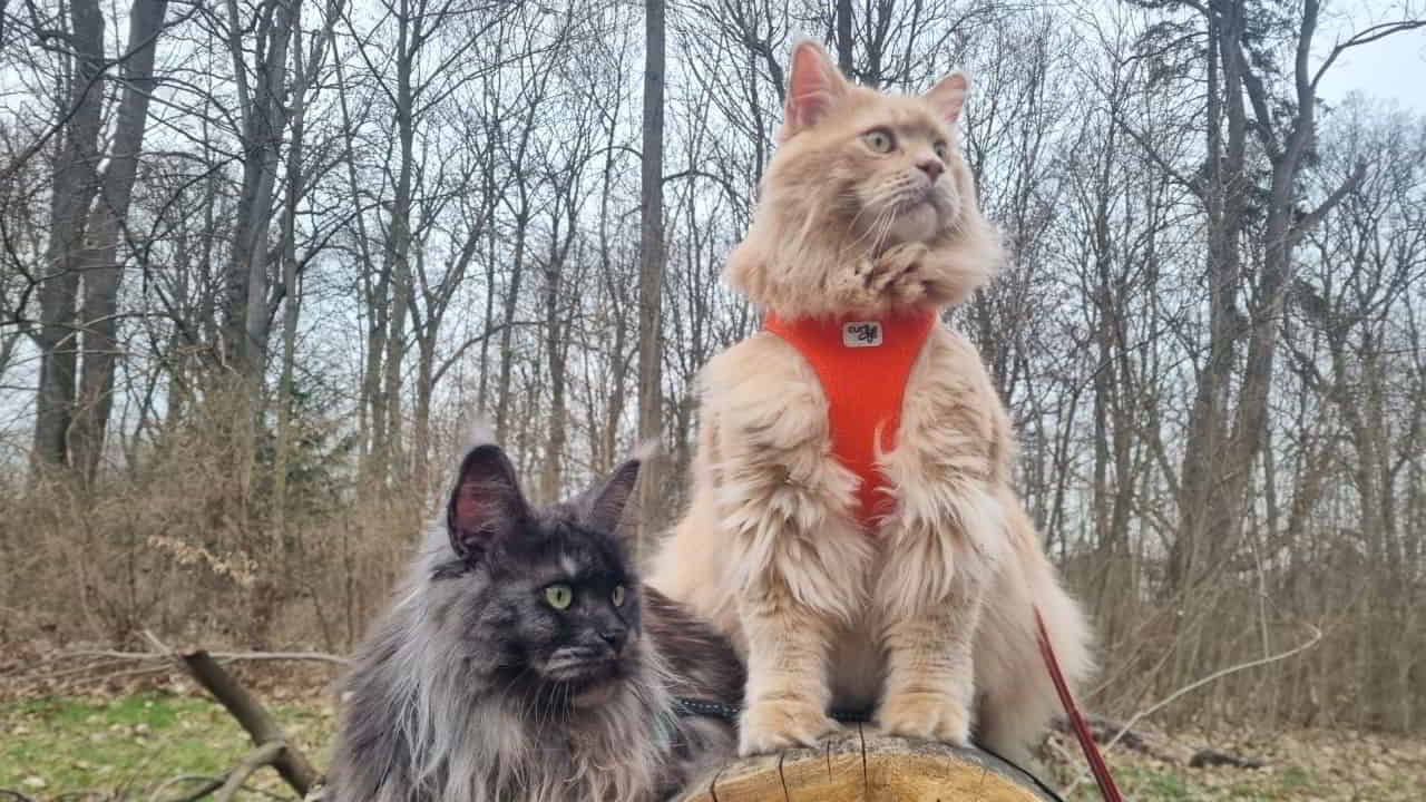 Franka und Justus beim Ausflug Franka und Justus beim Ausflug