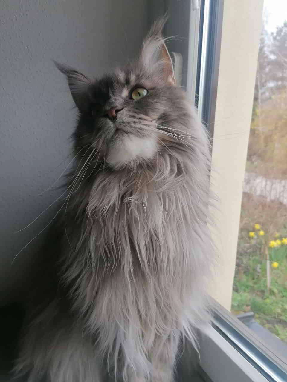 Grüße von Ruby Grüße von Ruby