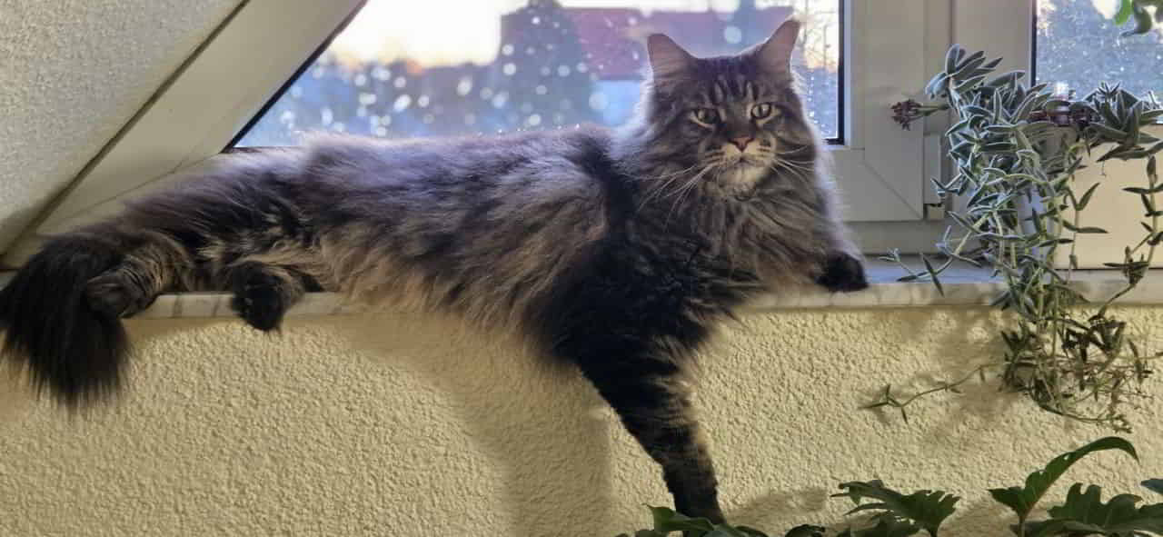 Guten Morgen…aufgewacht die Sonne lacht…😁 Guten Morgen...aufgewacht die Sonne lacht...😁