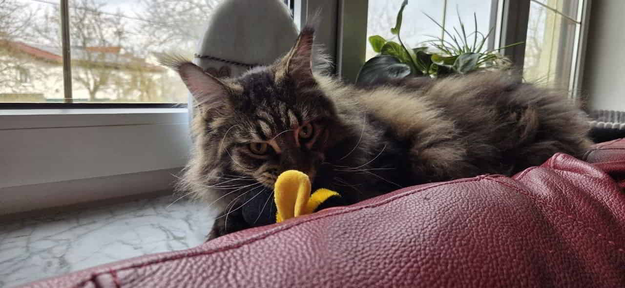 Habe am Glücksrad gedreht Habe am Glücksrad gedreht