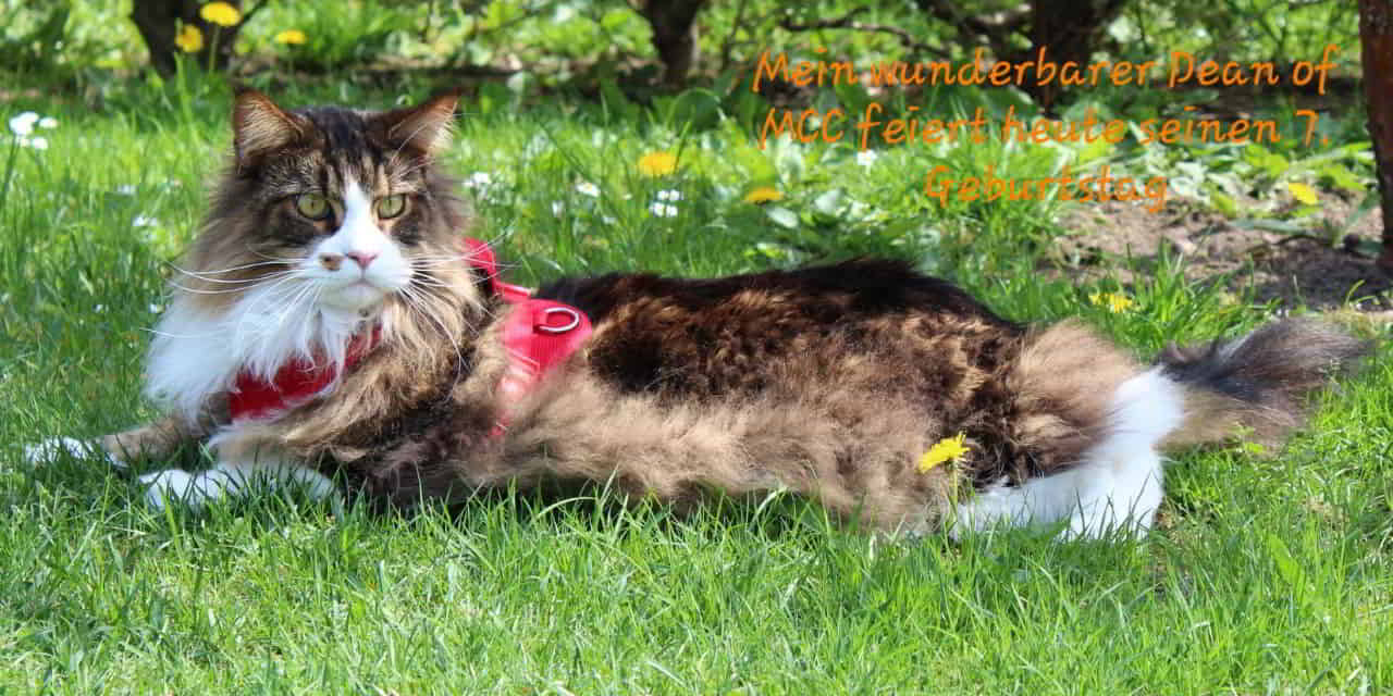 Herzlichen Glückwunsch an alle D2 Linge Herzlichen Glückwunsch an alle D2 Linge