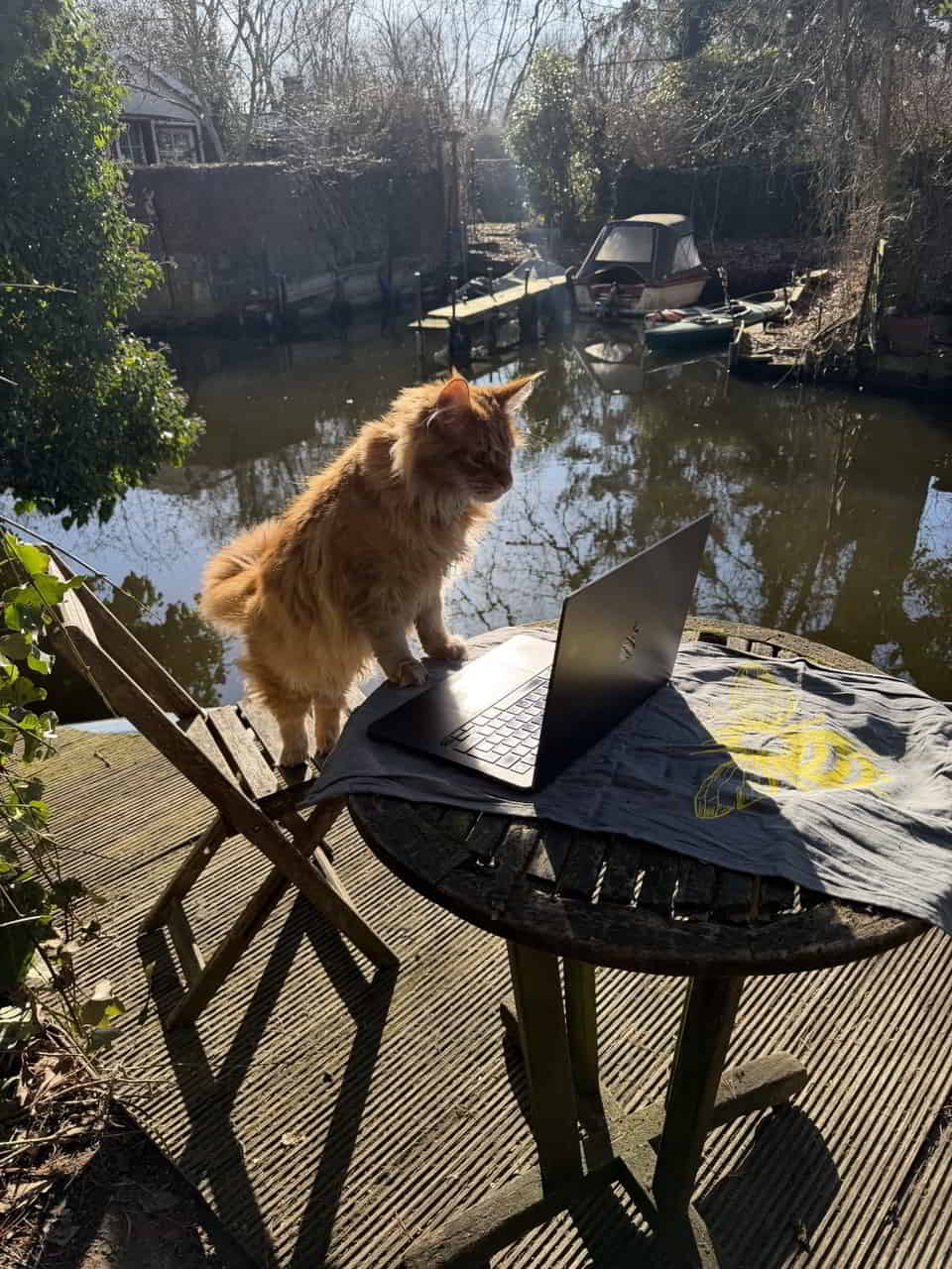 Home Office ☀️😺💻 Home Office ☀️😺💻