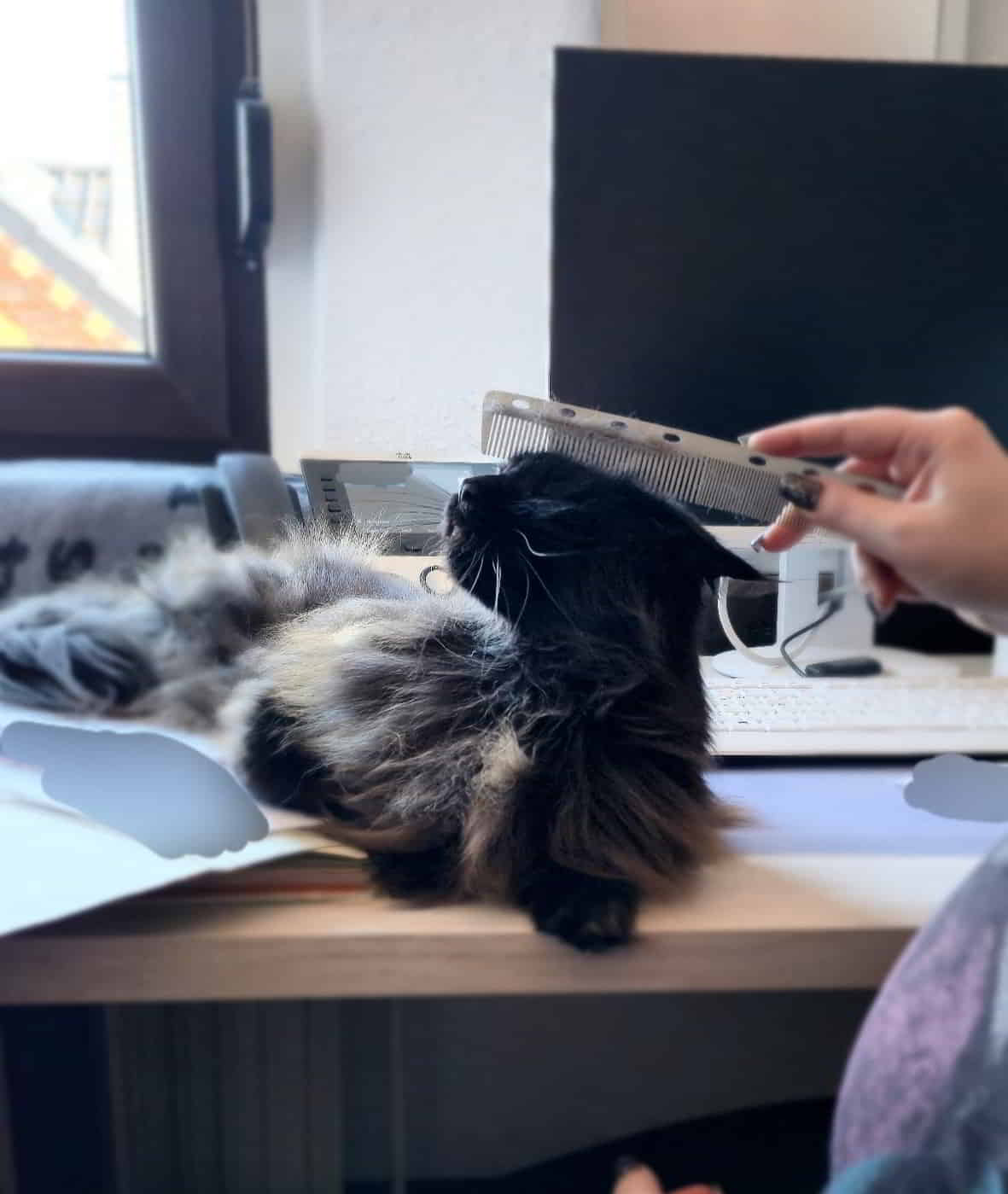 Im von der Arbeit abhalten ist Mara Weltmeisterin. 😍 Im von der Arbeit abhalten ist Mara Weltmeisterin. 😍