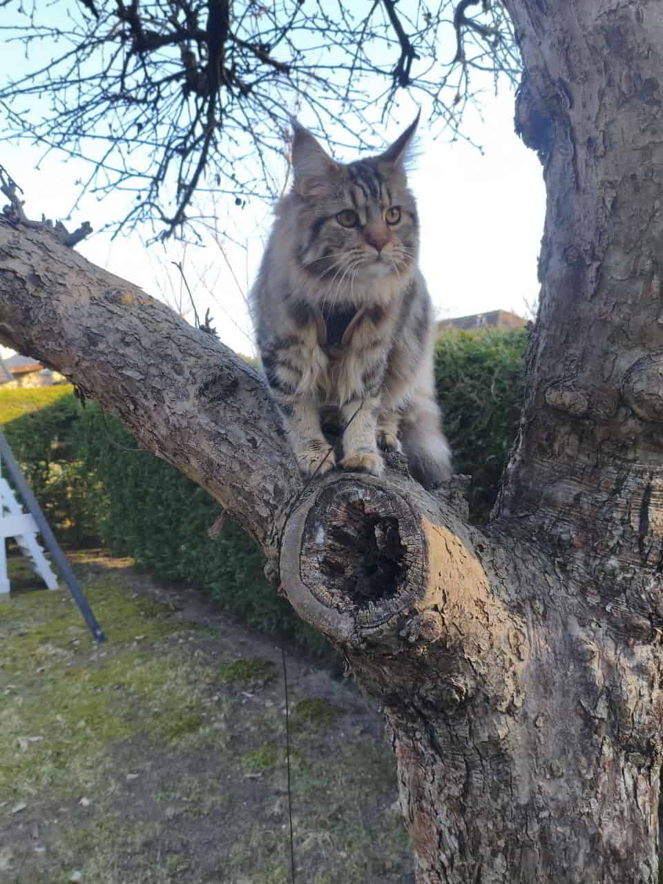 Ist ja doch spannend… Ist ja doch spannend...