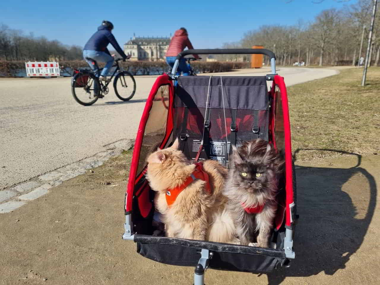 Justus und Franka Justus und Franka