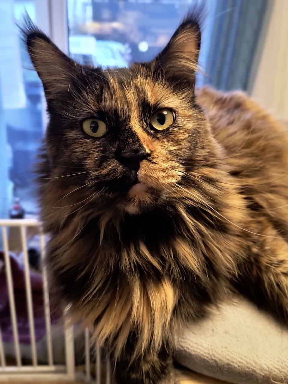 Jutta der Ninja Jutta der Ninja